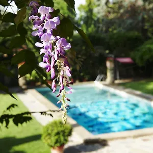 Hotel Park Palace, Firenze